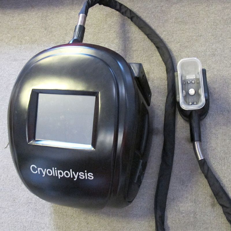 Professional Cryolipolysis Machine Price with 2 Work Heads